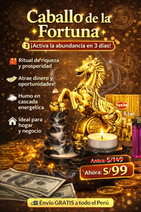 CABALLO DE LA FORTUNA